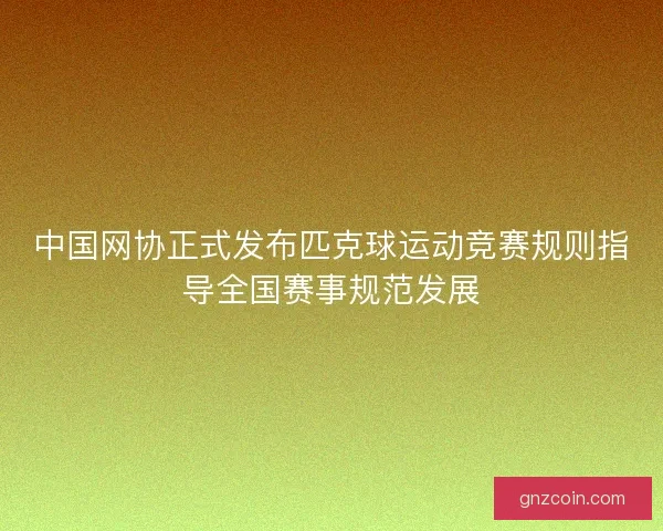 中国网协正式发布匹克球运动竞赛规则指导全国赛事规范发展