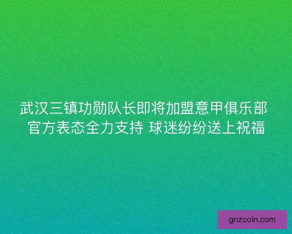 武汉三镇功勋队长即将加盟意甲俱乐部 官方表态全力支持 球迷纷纷送上祝福